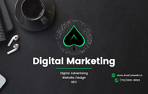 Ace Consulting Digital Marketing place picture